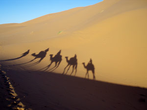 Dumball 2014 Registration Closed