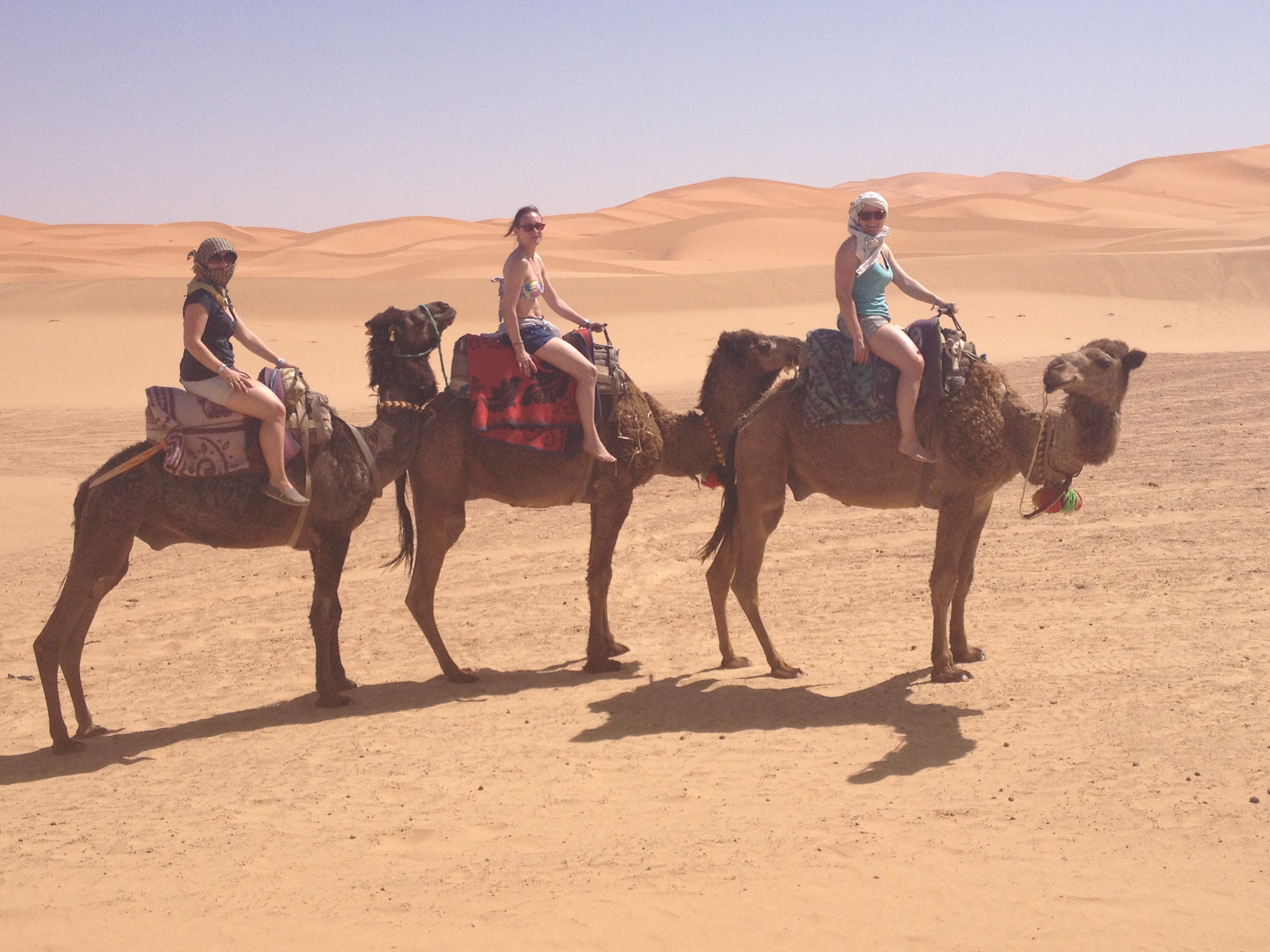 Dumball 2014 in Pictures