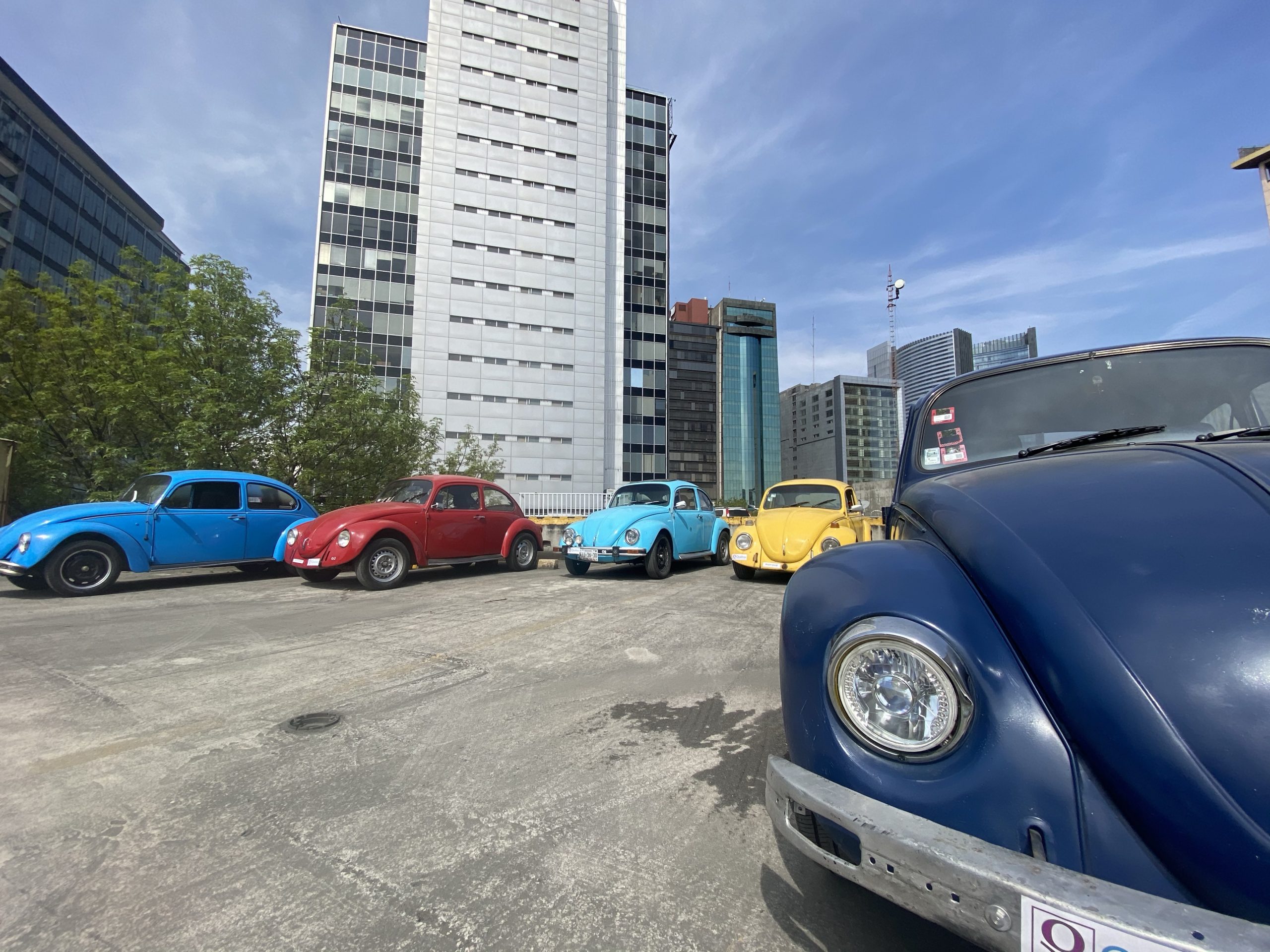 We’ve got a lovely bunch of Beetles…